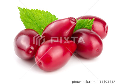 Red berries of cornel or dogwood with leaf isolated on white background Red berries of cornel or dogwood with leaf isolated on white background 44193142