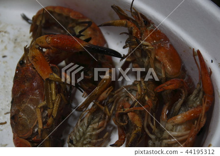 炸小龍蝦 炸小龍蝦 44195312