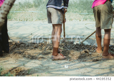 The students help to dig up the grass 44195352