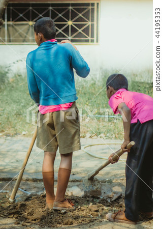 The students help to dig up the grass  44195353