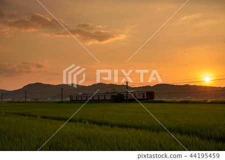 JR Chikuhi Line火車和日落美景 44195459
