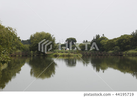 初夏的杜曼綠園 初夏的杜曼綠園 44195719