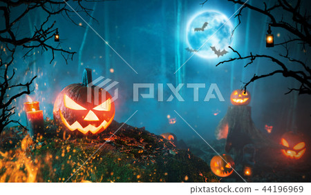 Spooky halloween pumpkins in dark forest 44196969