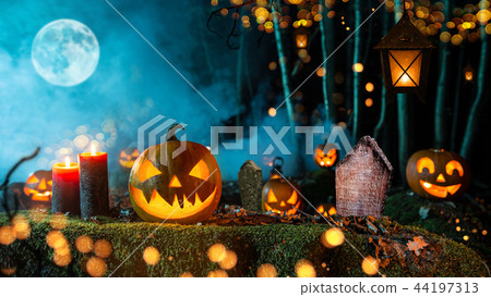 Halloween pumpkins on dark spooky forest. Halloween pumpkins on dark spooky forest. 44197313