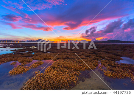 scenery sunrise above coral reef in Phuket island scenery sunrise above coral reef in Phuket island 44197726