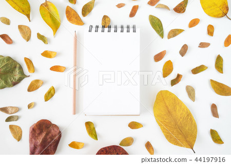 Autumn composition. Copy space for autumn season. Autumn composition. Copy space for autumn season. 44197916