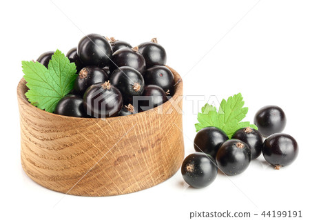 black currant with leaf in wooden bowl isolated on white background 44199191