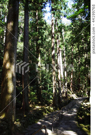Kumano Nachi Taisha Bekmiya-Hida Shrine Shindo Stone Stage（和歌山縣Tohaku-gun Nachi Katsuura Town） 44199768