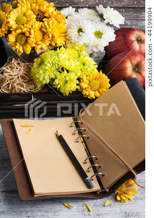 Empty notebook with lit lights and chrysanthemum Empty notebook with lit lights and chrysanthemum 44199904