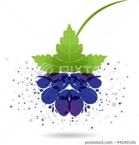 Blackberry splash vector Blackberry splash vector 44200188
