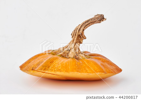 Stem on yellow pumpkin on light background. 44200817