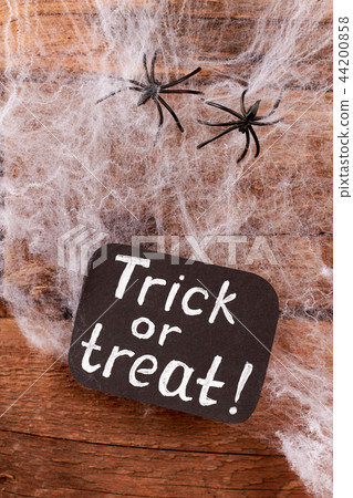 Halloween background with web and spiders. 44200858