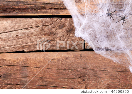 Decorative creepy web and spiders. 44200860