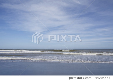 Tsurigasaki Coast（颱風過後）Tsurigasaki Beach（颱風過後） 44203567