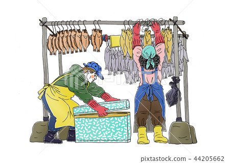 illustration, fish, hairtail 44205662