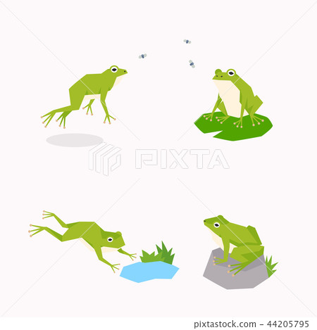Animal icons collection vector illustration 053 Animal icons collection vector illustration 053 44205795
