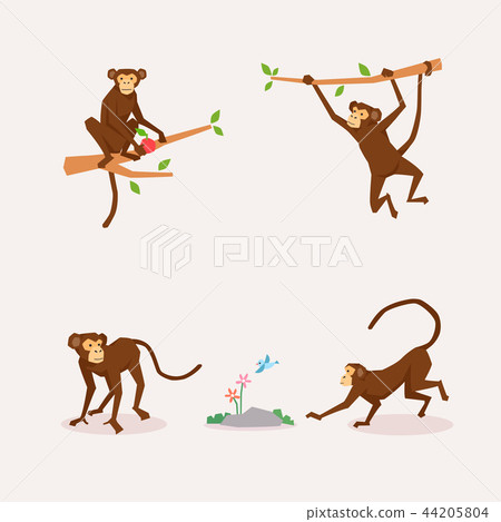 Animal icons collection vector illustration 048