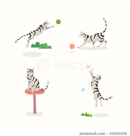 Animal icons collection vector illustration 027 Animal icons collection vector illustration 027 44205838