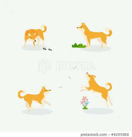 Animal icons collection vector illustration 013 Animal icons collection vector illustration 013 44205868