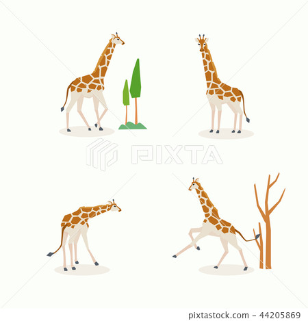 Animal icons collection vector illustration 049 Animal icons collection vector illustration 049 44205869