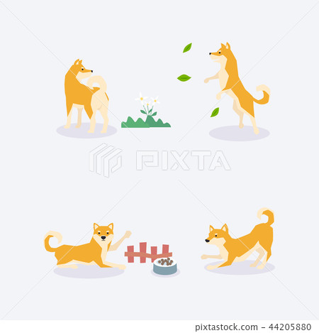 Animal icons collection vector illustration 014 44205880