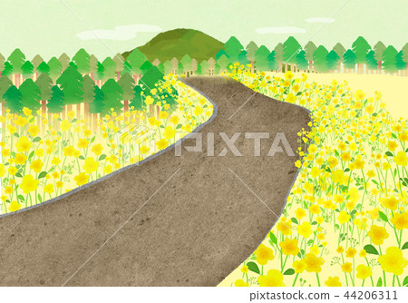 Jeju Travel 06 44206311