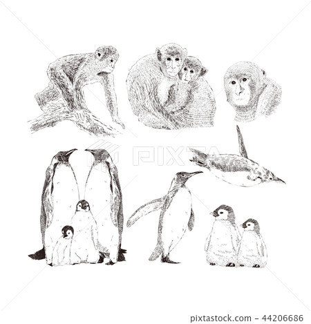 Vintage style line illustration 8 44206686