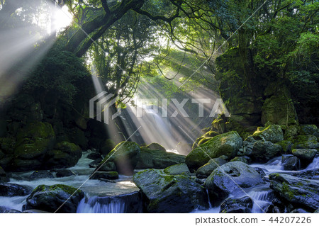 Couple's waterfall 44207226
