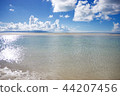 海 44207456