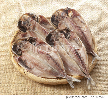 竹莢魚的開幕 44207566