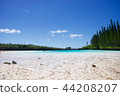 Piscinnu Naturel 44208207