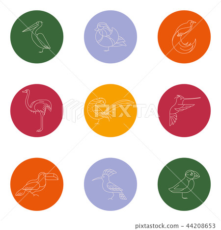 Birds are different species Birds are different species 44208653