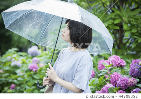 雨季 雨季 44209358
