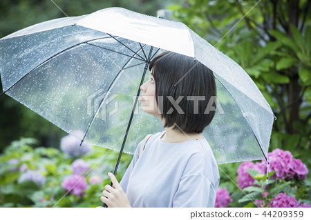 雨季 雨季 44209359