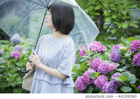 Rainy season Rainy season 44209360