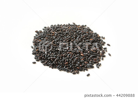 Black rice 44209888