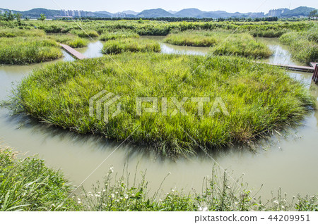 Gap Eco-Park 44209951