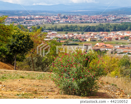 View of Astorga from Cruceiro Santo Toribio View of Astorga from Cruceiro Santo Toribio 44210052