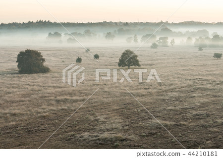 The Kalmhoutse heather park 44210181