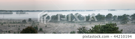 The Kalmhoutse heather park 44210194