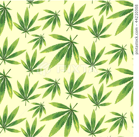 Marijuana leaves seamless vector pattern. Marijuana leaves seamless vector pattern. 44210308