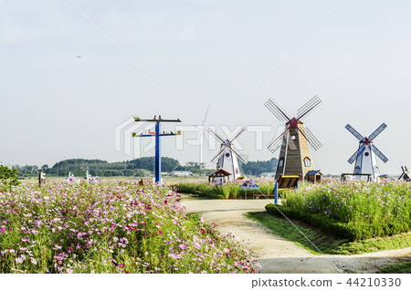 Daebudo Theme Park 44210330