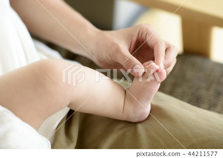 三個授權家庭 44211577
