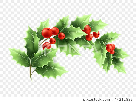 Christmas crescent holly branch illustration 44211885