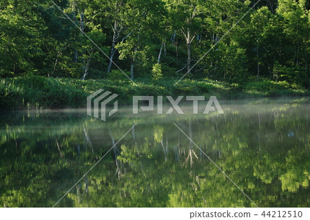 Shiga Kogen Kido Pond in the summer 44212510