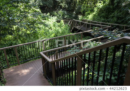 小次郎之森 44212623