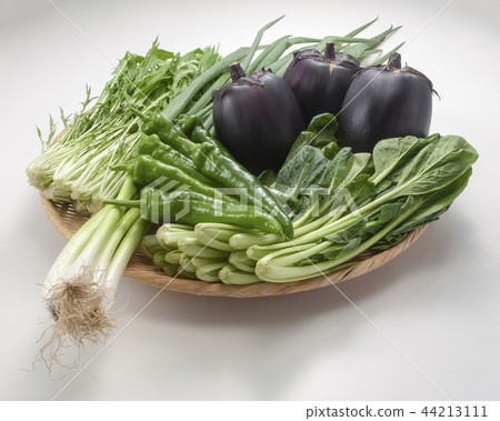 Gathering of Kyoto vegetables 44213111