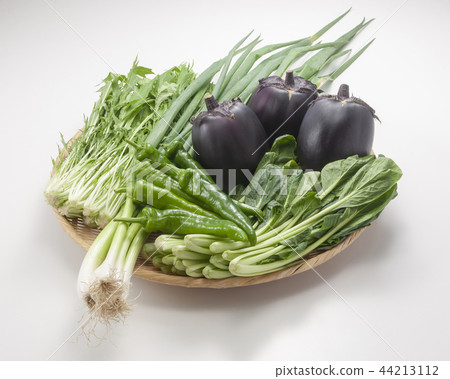 Gathering of Kyoto vegetables 44213112