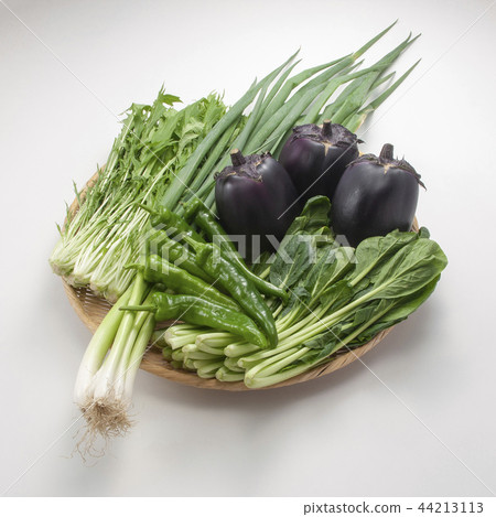 Gathering of Kyoto vegetables 44213113