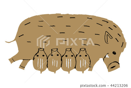 Parent and child of wild boar 44213206